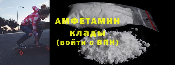 индика Абаза