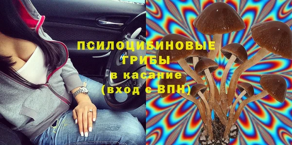 индика Абаза