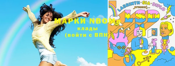 индика Абаза