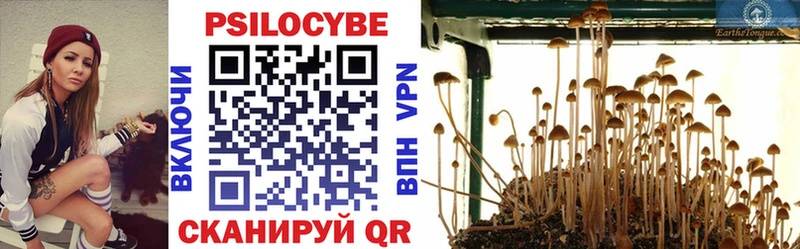 Псилоцибиновые грибы GOLDEN TEACHER Чухлома