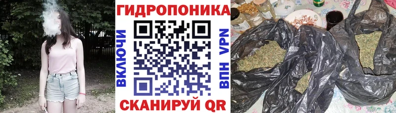 Каннабис OG Kush  где купить наркоту  Чухлома 